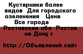 Кустарники более 100 видов. Для городского озеленения › Цена ­ 70 - Все города  »    . Ростовская обл.,Ростов-на-Дону г.